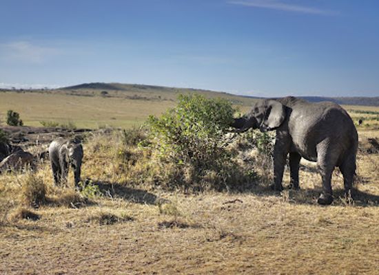 kenya/samburu-national-reserve/landmark/maasai-mara-national-reserve