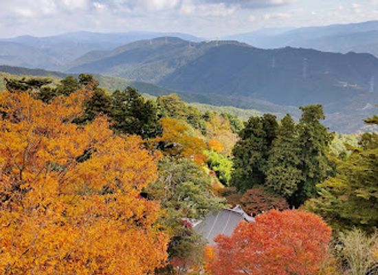 japan/shikoku/landmark/umpenji-temple