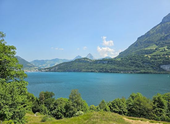 switzerland/uri/landmark/rutli