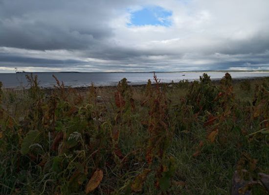united-kingdom/caithness/landmark/whitegate-broch