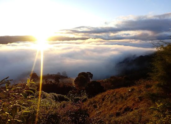 costa-rica/southern-zone/landmark/la-concepcion-de-leon-cortes-costa-rica