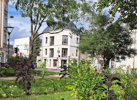 france/tours/landmark/nids-de-loire