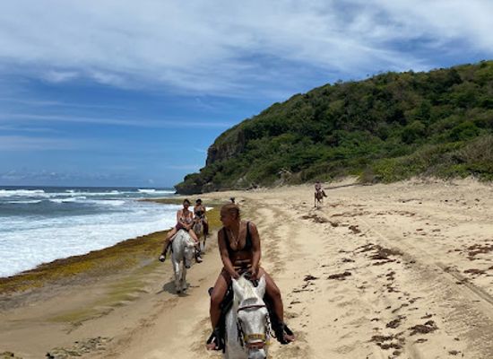 puerto-rico/isabela/landmark/adventure-ranch