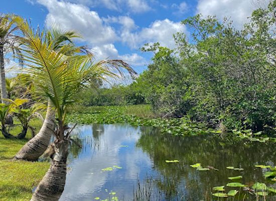 florida/everglades-national-park/landmark/everglades