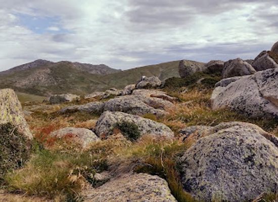australia/kosciuszko-national-park/landmark/mount-kosciuszko