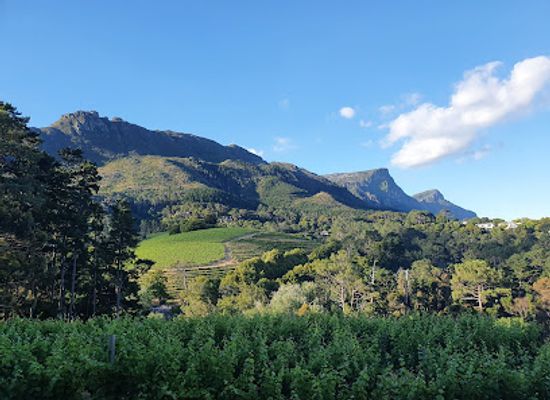 south-africa/cape-town/landmark/constantia-mist
