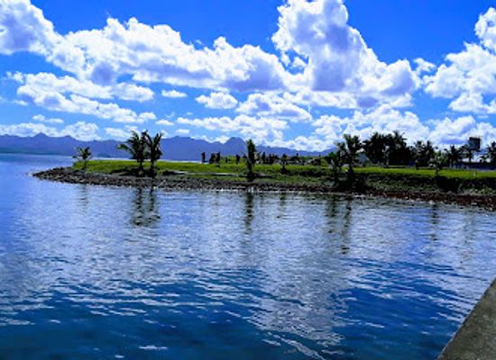 fiji/vanua-levu/landmark/thurston-gardens
