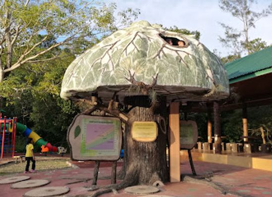 brunei/lamunin/landmark/bukit-shahbandar-forest-recreation-park