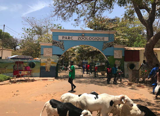 senegal/fatick/landmark/hann-zoological-park