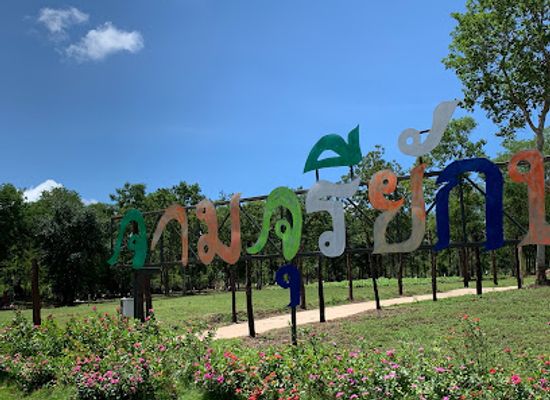 thailand/kanchanaburi/landmark/giant-raintree-monkey-pod-tree