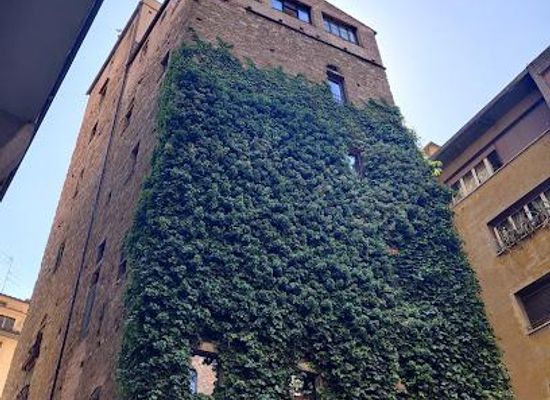 italy/san-gimignano/landmark/torre-dei-belfredelli-sec-xii