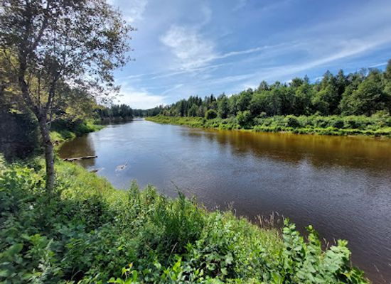 latvia/cesis/landmark/cirulisi-nature-trails