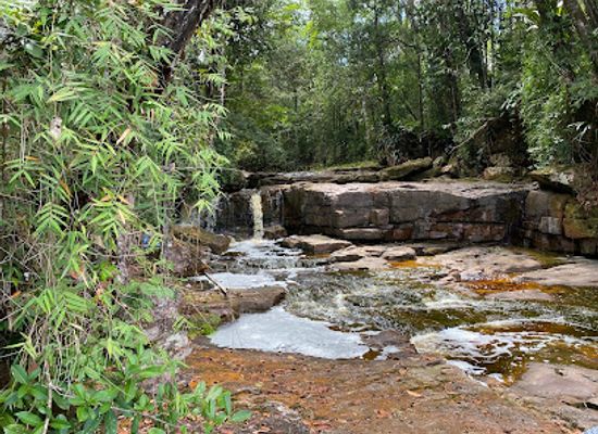 suriname/tafelberg-nature-reserve/landmark/tafelberg