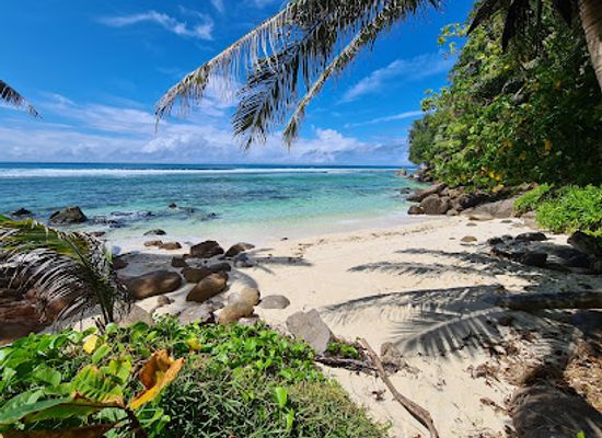 seychelles/anse-boudin/landmark/anse-bougainville-beach