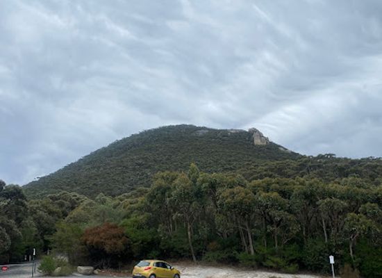 australia/gippsland/landmark/telegraph-saddle-car-park