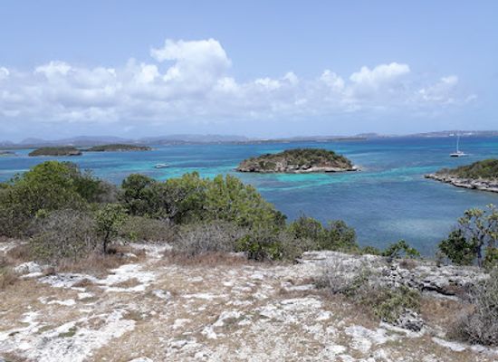 antigua-and-barbuda/saint-john/landmark/tropical-adventures-antigua