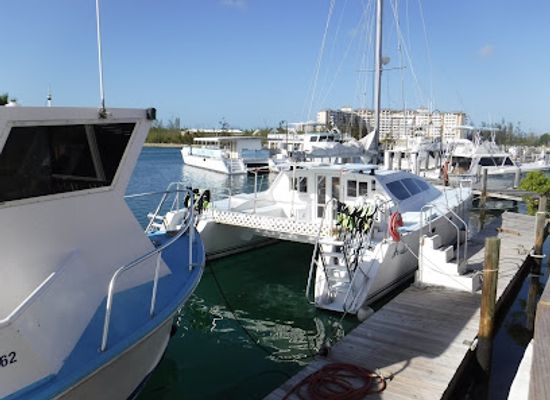 the-bahamas/grand-bahama-island/landmark/reef-tours