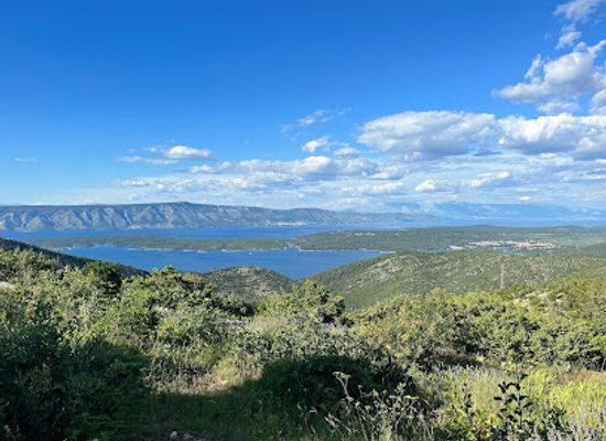 croatia/hvar/landmark/hvar-lavender-fields