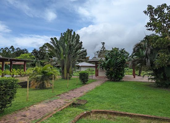 suriname/lelydorp/landmark/peperpot-nature-park