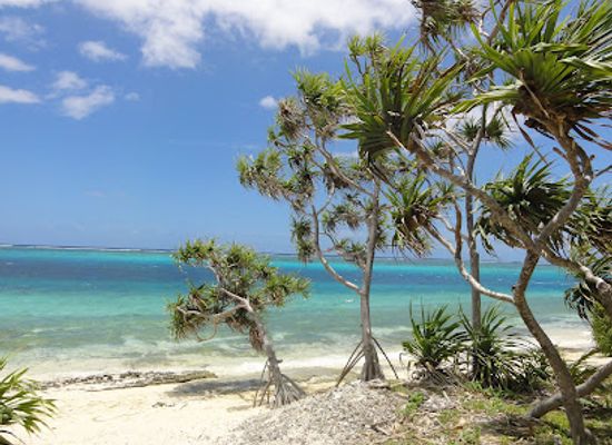 vanuatu/anatom-aneityum/landmark/mystery-island-tours