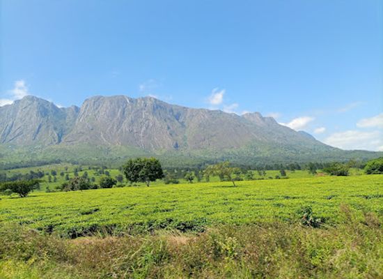 malawi/mulanje-mountain/landmark/likhubula-forest-gate