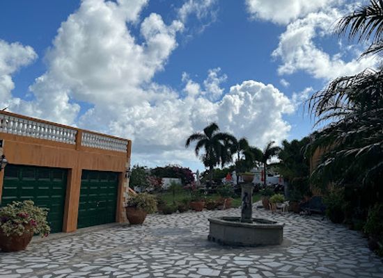 saint-kitts-and-nevis/saint-peter-basseterre-parish/landmark/palms-court-gardens