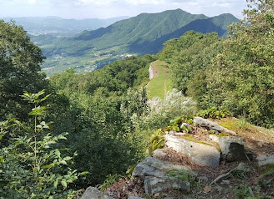 south-korea/north-chungcheong-province/landmark/nam-san
