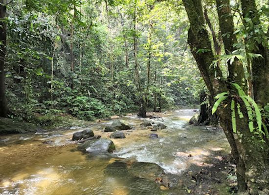 malaysia/selangor/landmark/taman-negeri-selangor
