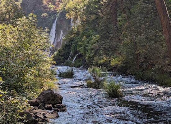 california/shasta-cascade/landmark/shasta-trinity-national-forest