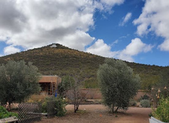 arizona/saguaro-national-park/landmark/mission-garden