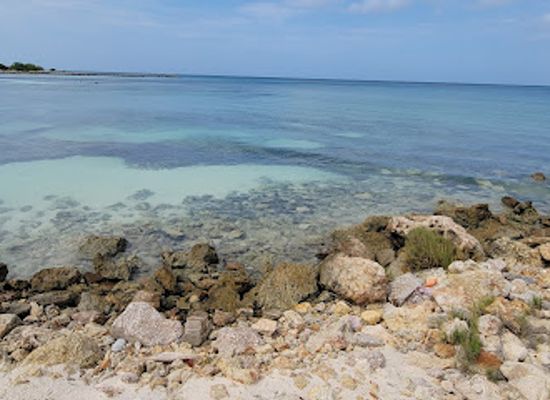 aruba/natural-pool/landmark/butterfly-farm