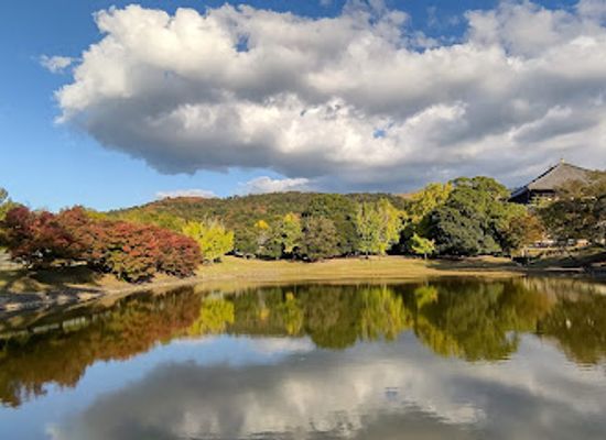 japan/nara/landmark/todai-ji-daibutsu-ike-pond