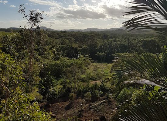 new-caledonia/la-foa/landmark/la-table-du-banian