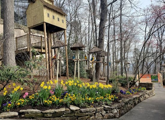 tennessee/pigeon-forge/landmark/parrot-mountain-and-gardens