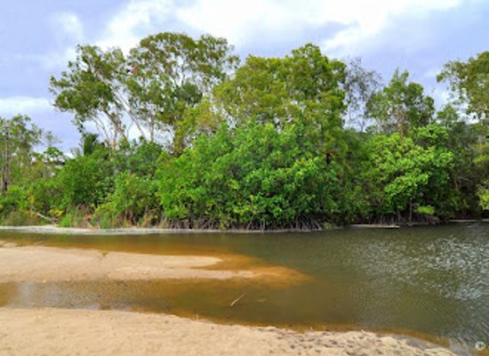 australia/cairns/palm-cove/landmark/south-palm-cove-estuary