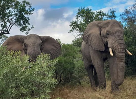 south-africa/elephant-coast/landmark/isimangaliso-wetland-park