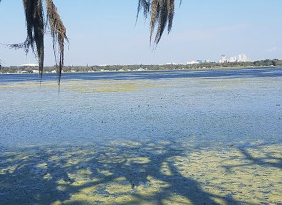 florida/tampa-bay-area/landmark/boyd-hill-nature-preserve