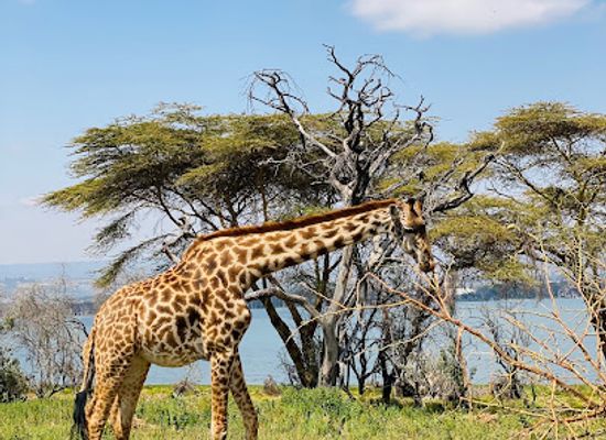 kenya/aberdare-range/landmark/cresent-island