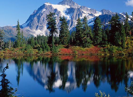 washington/bellevue/landmark/visit-bellevue-washington