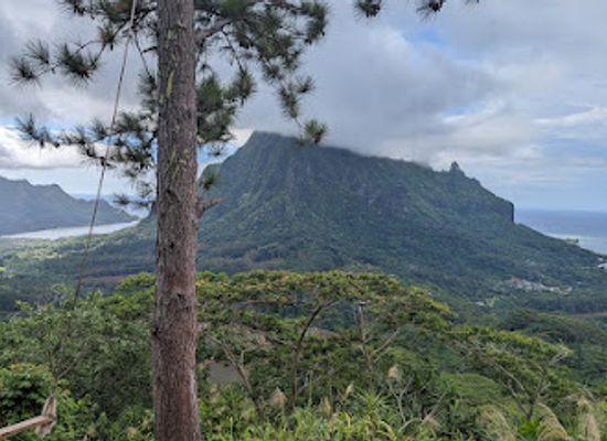 french-polynesia/moorea/landmark/three-pines-lookout