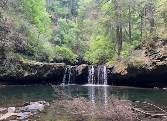 tennessee/sequatchie-valley/landmark/grundy-forest-state-natural-area-at-south-cumberland-state-park