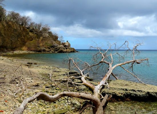 curacao/band-abou/landmark/playa-san-juan