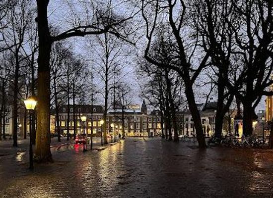 netherlands/haarlem/landmark/lange-voorhout