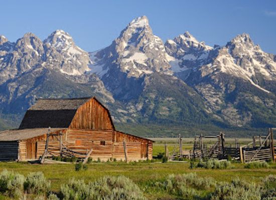 wyoming/teton-county/landmark/brushbuck-wildlife-tours