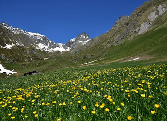 austria/grossglockner/landmark/nationalpark-hohe-tauern