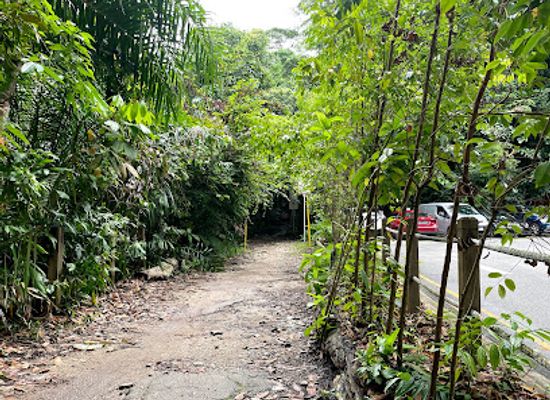 singapore/bukit-batok/landmark/bukit-timah-mountain-bike-trail
