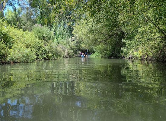 israel/golan-heights/landmark/majrase-nature-reserve