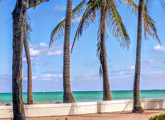 florida/fort-lauderdale-beach/landmark/bonnet-house-museum-gardens