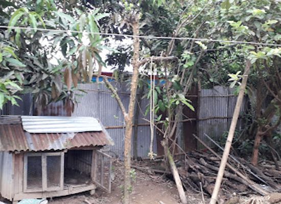 bangladesh/comilla/landmark/pahartoli-bus-stand