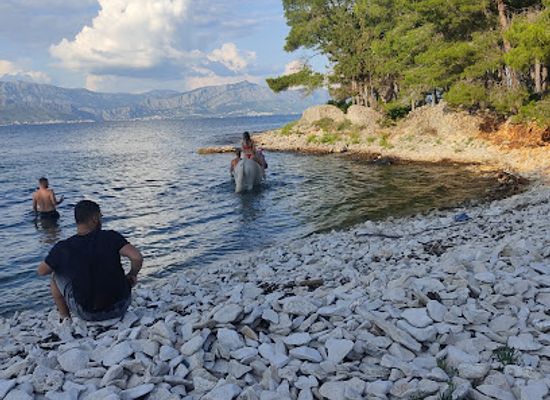 croatia/brac-island/landmark/wild-brac